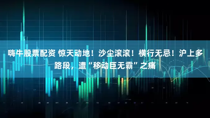 嗨牛股票配资 惊天动地！沙尘滚滚！横行无忌！沪上多路段，遭“移动巨无霸”之痛