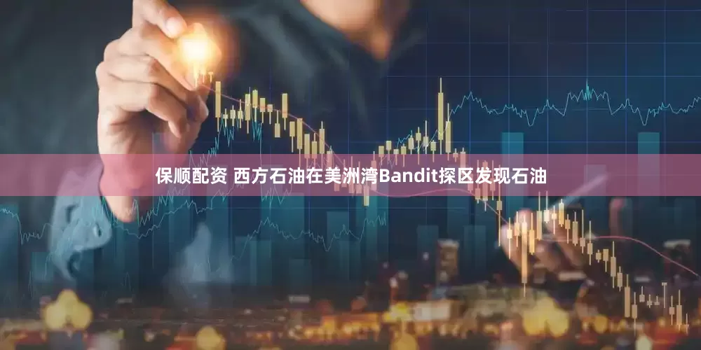 保顺配资 西方石油在美洲湾Bandit探区发现石油